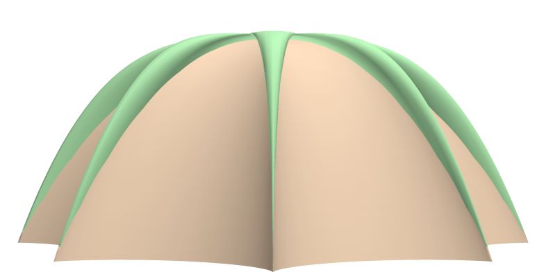 TestUmbrella