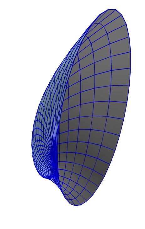 TestSnail7_a